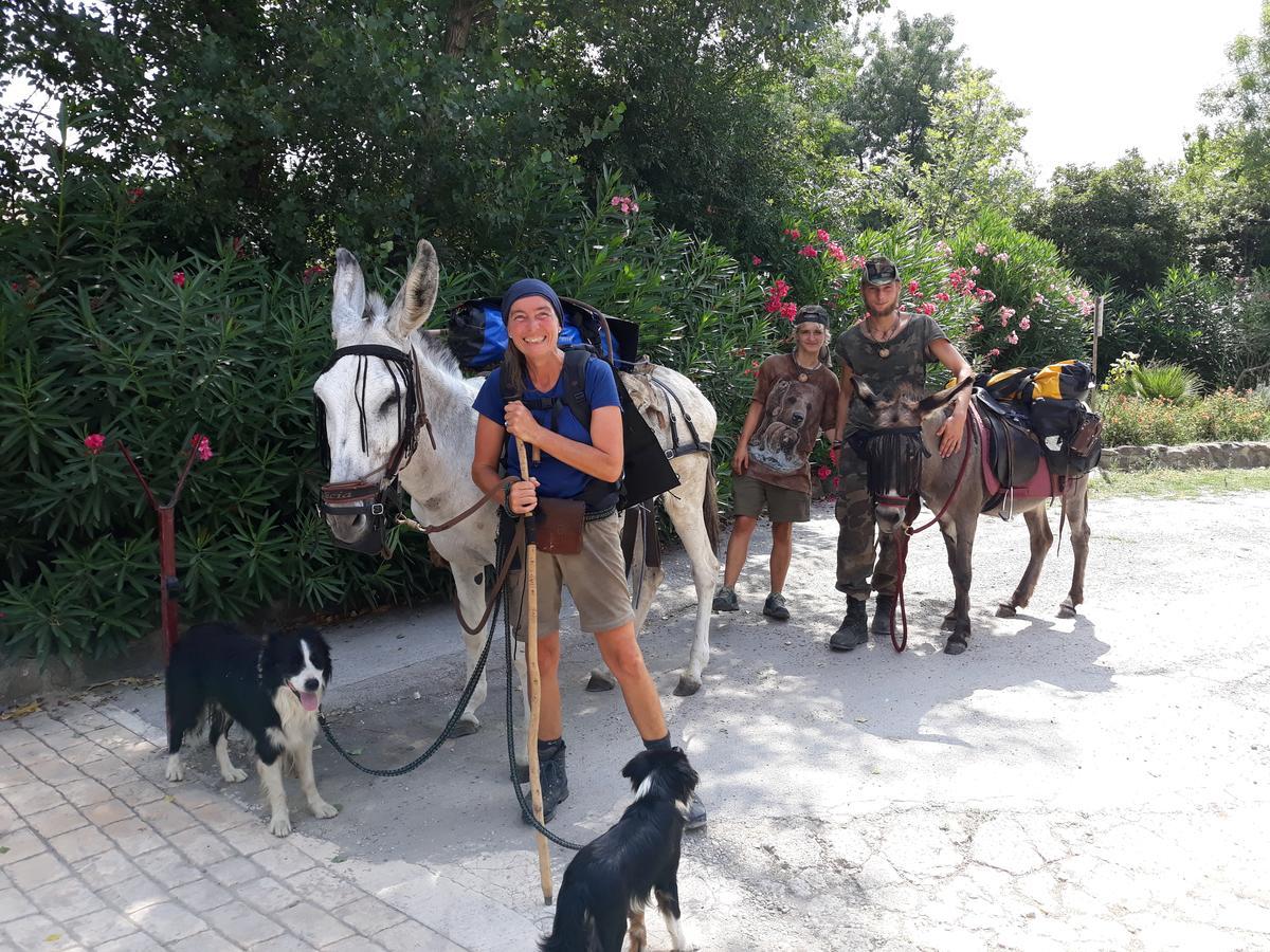 Camping Le Pre Saint-Andre Souvignargues ภายนอก รูปภาพ
